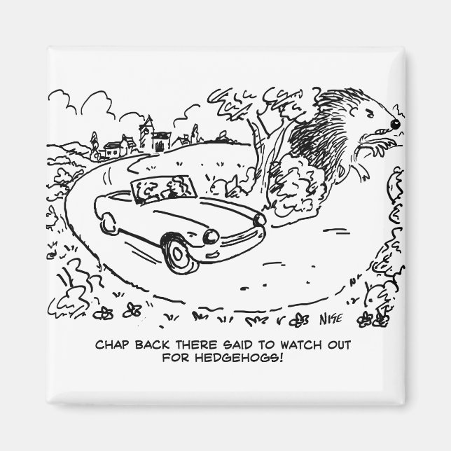 Sportwagen im Grünen mit Igel Magnet (Vorne)