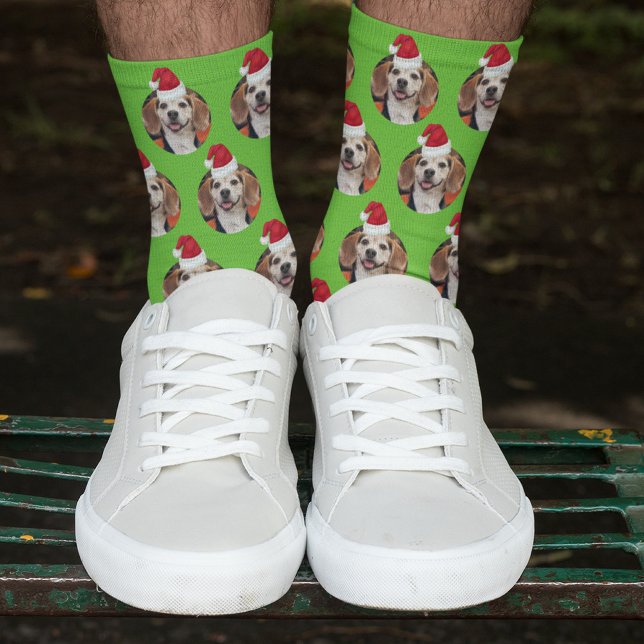 Sporty Green Pet Foto & Weihnachtsmannmützen auf H Socken (Von Creator hochgeladen)