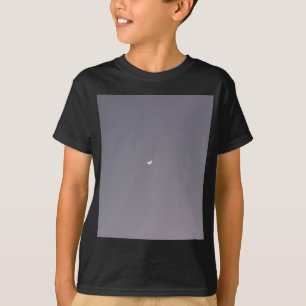 Spot auf den Mond T-Shirt