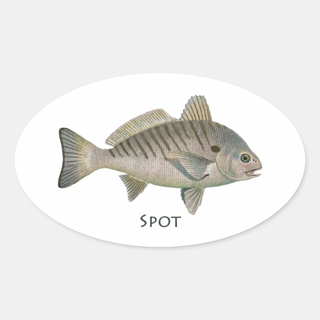 Spot Fish Ovaler Aufkleber (Vorderseite)