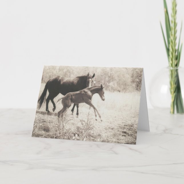 Spot Players Karte (Vorderseite)