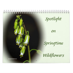 Spotlight auf dem Springtime-Wildblumen-Kalender Kalender