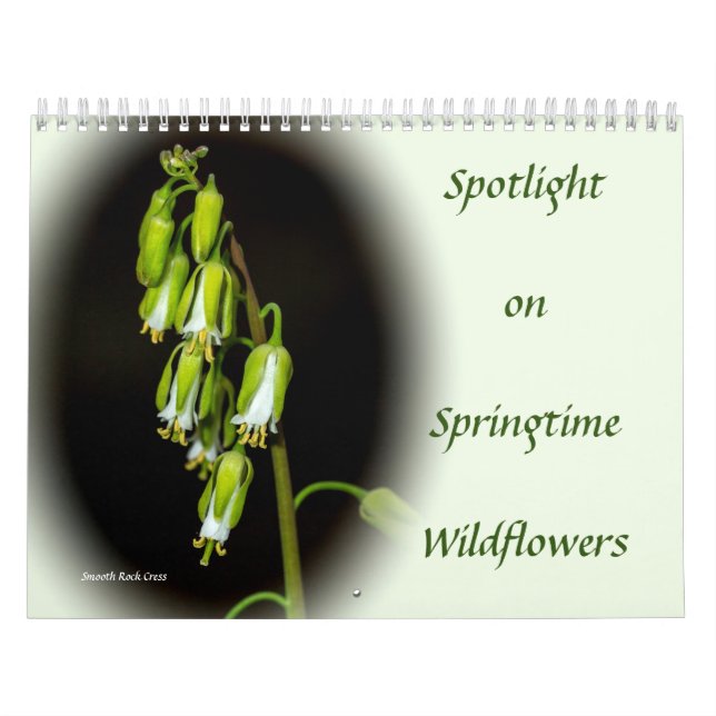Spotlight auf dem Springtime-Wildblumen-Kalender Kalender (Titelbild)