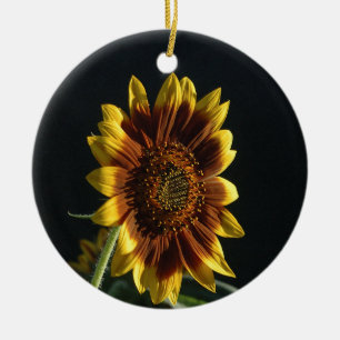 Spotlight auf einer schönen Sonnenblume Keramik Ornament