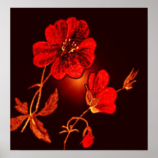 Spotlight auf roter Blume, braun und schwarz Poster