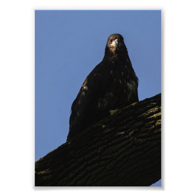 Spotlight Fotodruck (Vorne)