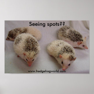 Spots sehen? Plakat