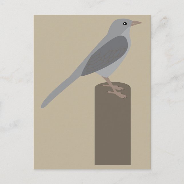 Spottdrossel Postkarte (Vorderseite)