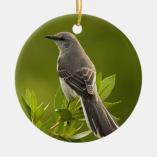 Spottdrossel-Vogel-Liebhaber-Geschenke Keramikornament