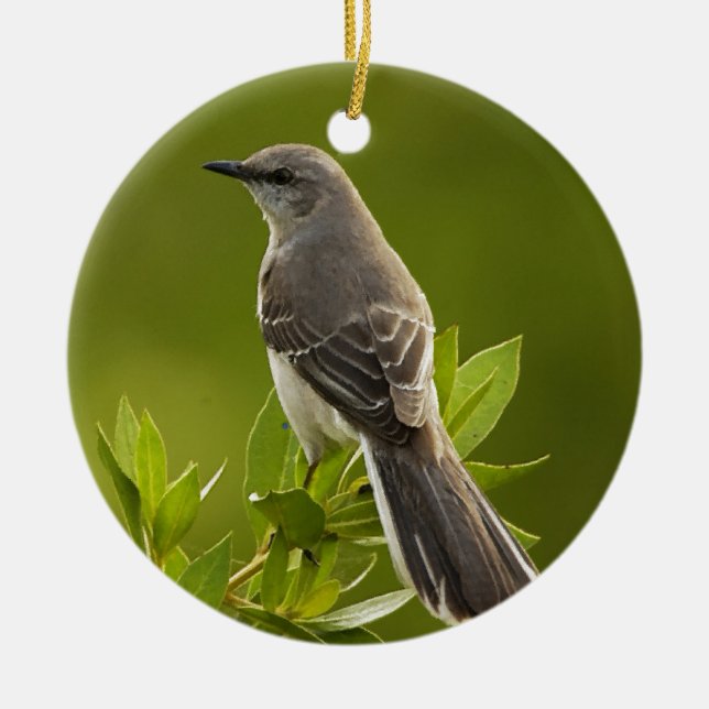 Spottdrossel-Vogel-Liebhaber-Geschenke Keramikornament (Vorne)
