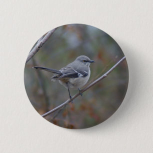 Spottdrossel-Vogelkunde Button