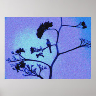 Spottdrosselplakat Poster