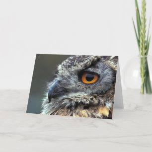 Spotted Eagle Owl - Blank Greeting Card Karte