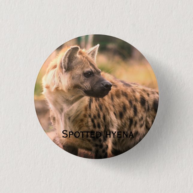 Spotted hyena：Savannah sunset Button (Vorderseite)