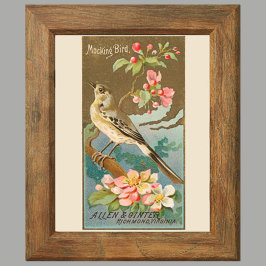 Spötter, Satz von 8 (5 von 8) Vogelgalerie-Wand Poster