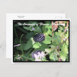 Sprache der Blume Die BlackBerry Postkarte