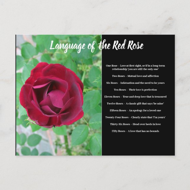 Sprache der Postkarte der Rose (Vorderseite)