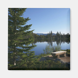 Sprague Lake Blick Magnet