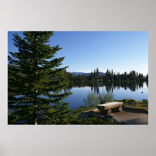 Sprague Lake View Poster (Vorne)