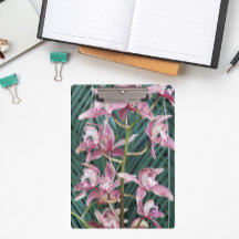 Spray of Pink Cymbidium Orchids Floral