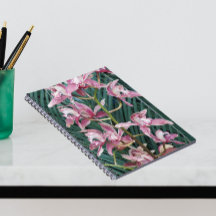 Spray of Pink Cymbidium Orchids Floral