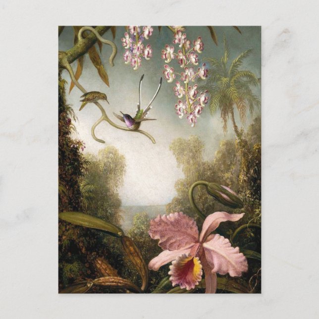 Spray Orchids mit Hummingbird Postcard Postkarte (Vorderseite)