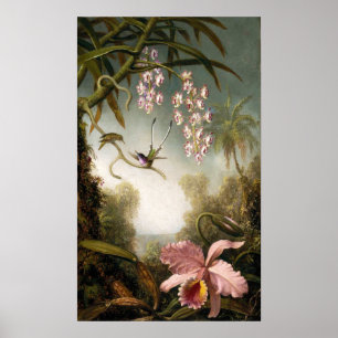 Spray Orchids mit Hummingbird Poster