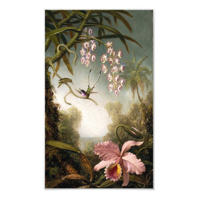 Spray Orchids mit Hummingbird Print Fotodruck (Vorne)