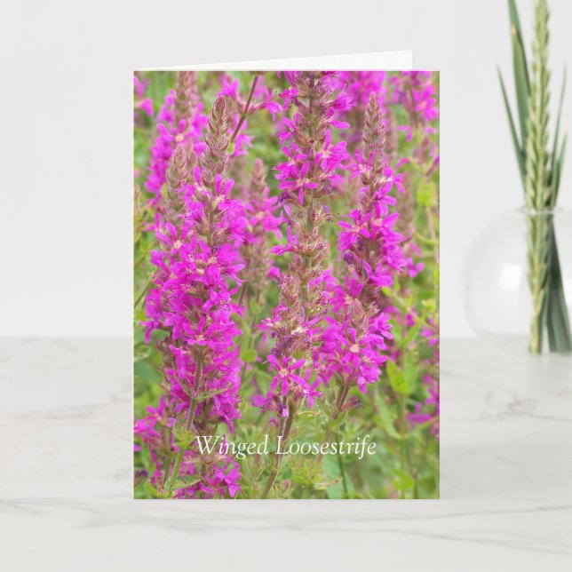 Spread meine Flügel und Fliegen: Glückwünsche Karte (Vorderseite)