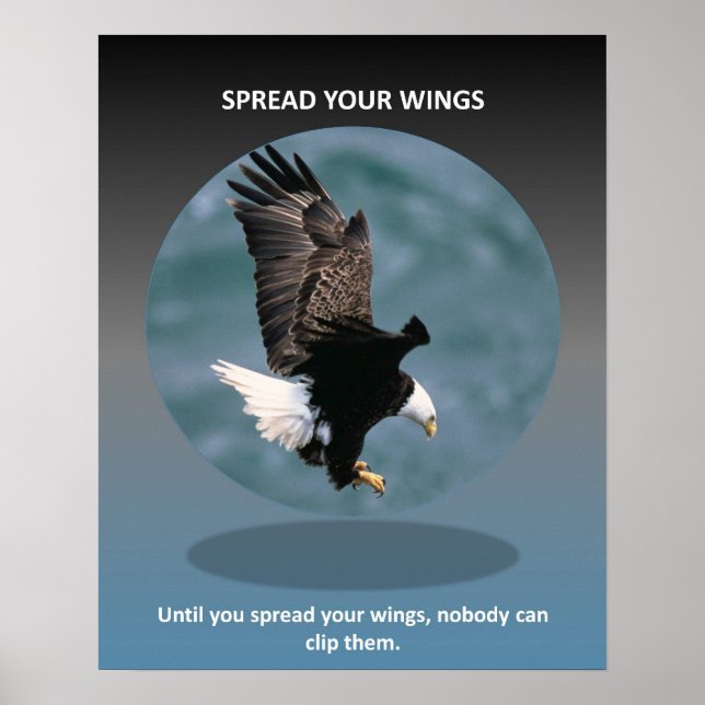 Spread-your-wings Poster (Vorne)