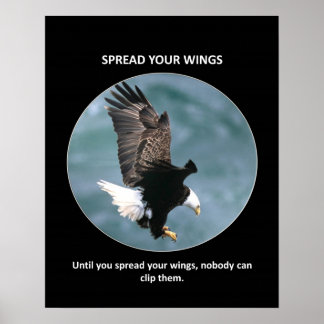Spread-your-wings Poster