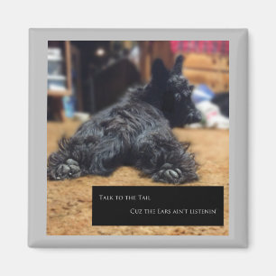 Sprechen Sie mit dem Schwanz Magnet