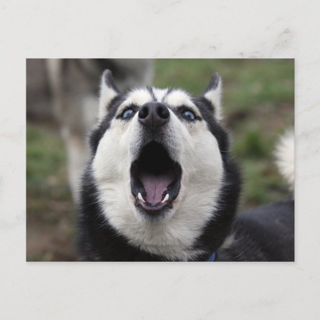 sprechend postkarte (Vorderseite)