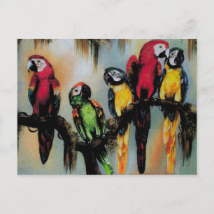 Sprechende Papageien ~ Postkarten Vogel Natur Wild
