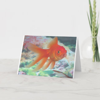 Sprechender Goldfisch Karte