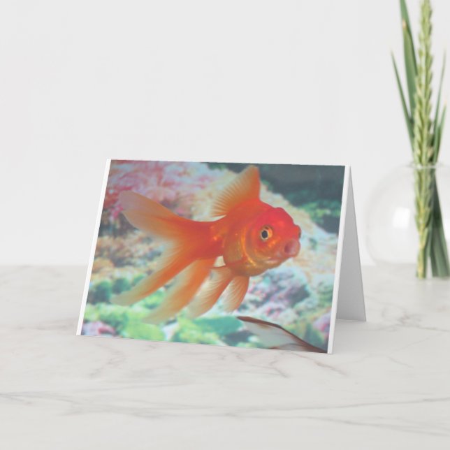 Sprechender Goldfisch Karte (Vorderseite)