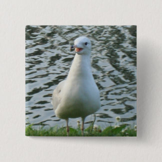 Sprechenseemöwe Button