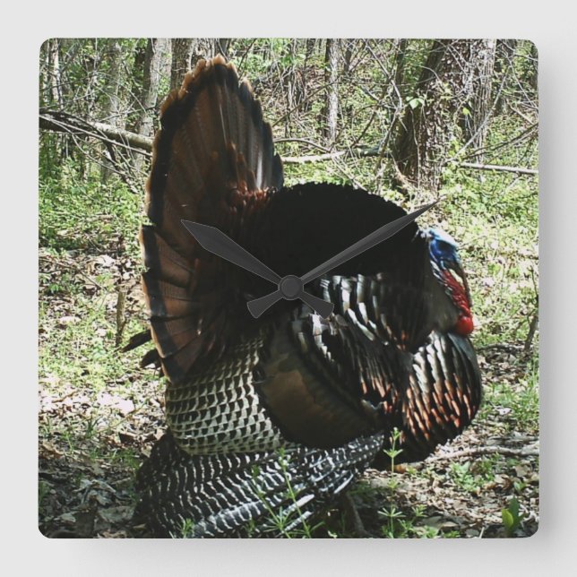 SPREIZE-QUADRAT-WANDUHR TOMS DIE TÜRKEI VOLLE QUADRATISCHE WANDUHR (Vorderseite)