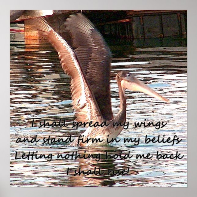 Spreizen Sie Ihre Flügel_ Poster (Vorne)