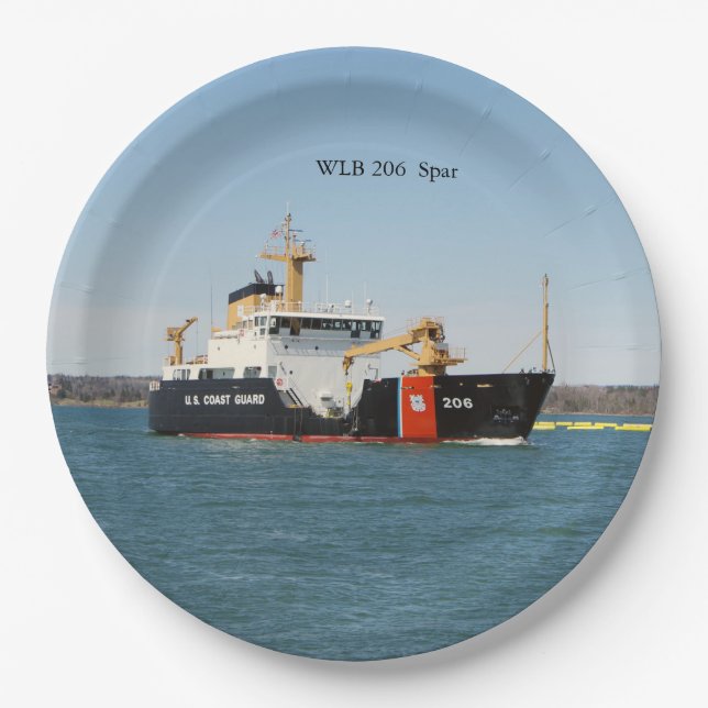 Spreizpapierplatte Pappteller (Vorderseite)