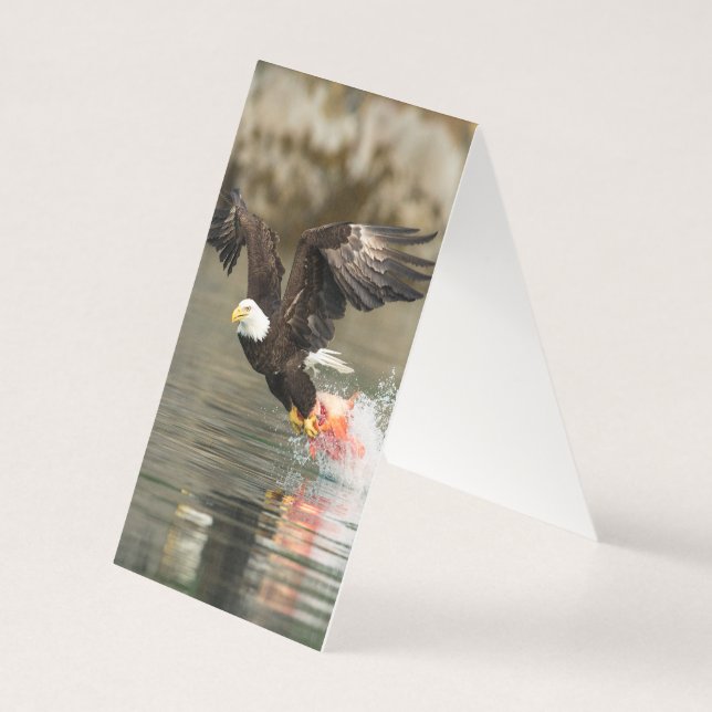 Sprengladender Adler (Rückseite)