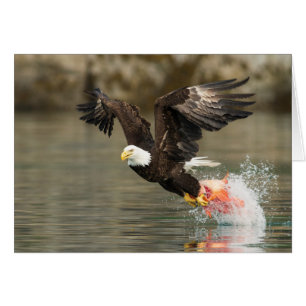 Sprengladender Adler