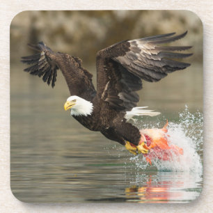 Sprengladender Adler Getränkeuntersetzer