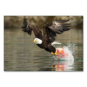 Sprengladender Adler Tischnummer