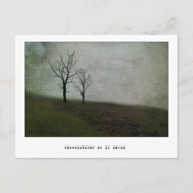 Sprich keine bitteren Worte - Postkarte (Vorderseite)