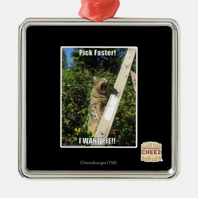 Sprich schneller! silbernes ornament (Vorne)