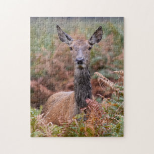 Sprichst du mit mir? - 11 x 14 - 252 Stück Puzzle