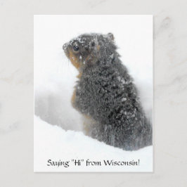 Sprichwort Hi von Wisconsin Snowy Eichhörnchen Postkarte