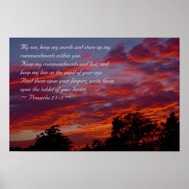 Sprichwörter 7:1-3 poster (Vorne)