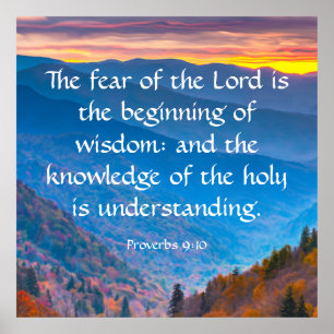 Sprichwörter 9:10 poster